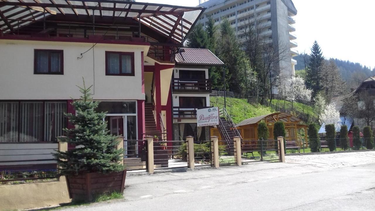 Hotel Passiflora Voineasa Exterior foto